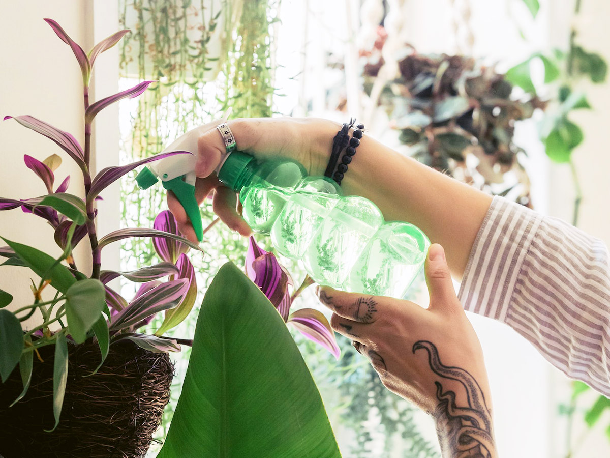 apartment gardening 2