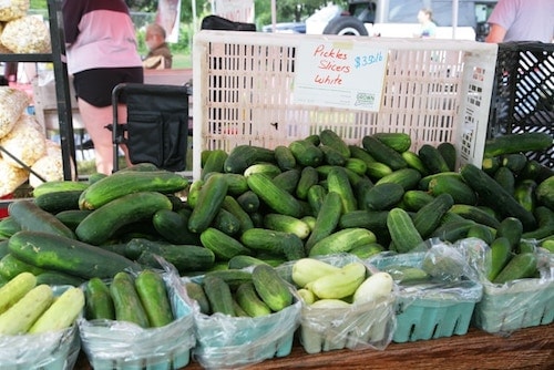 Cucumbers for sale at a local farmers market