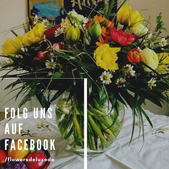 FlowersDeluxe bei Facebook