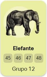elefante no jogo do bicho
