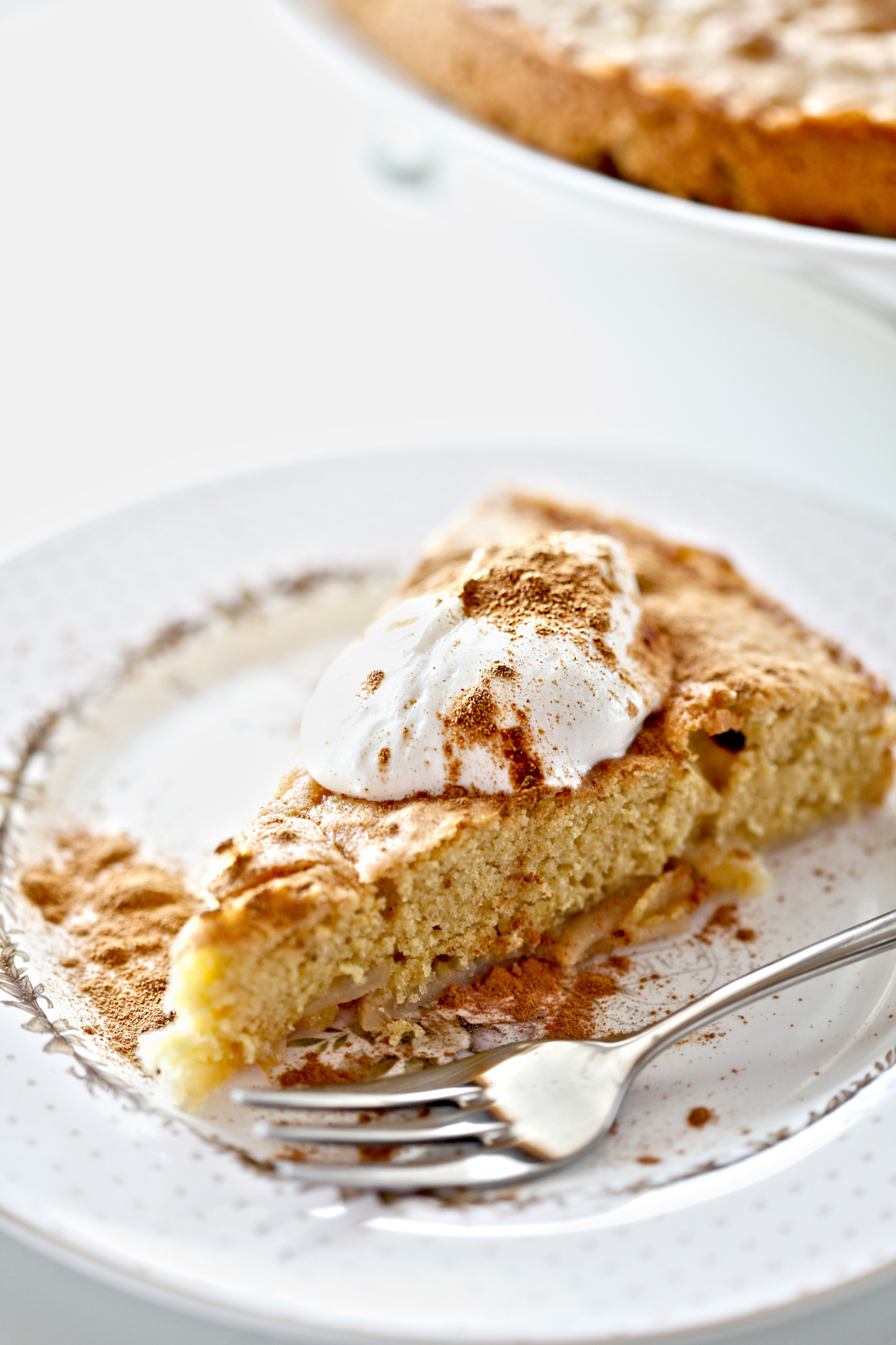 Apple Streusel Coffee Cake