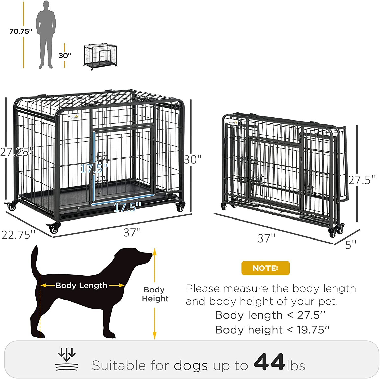 training dog kennel