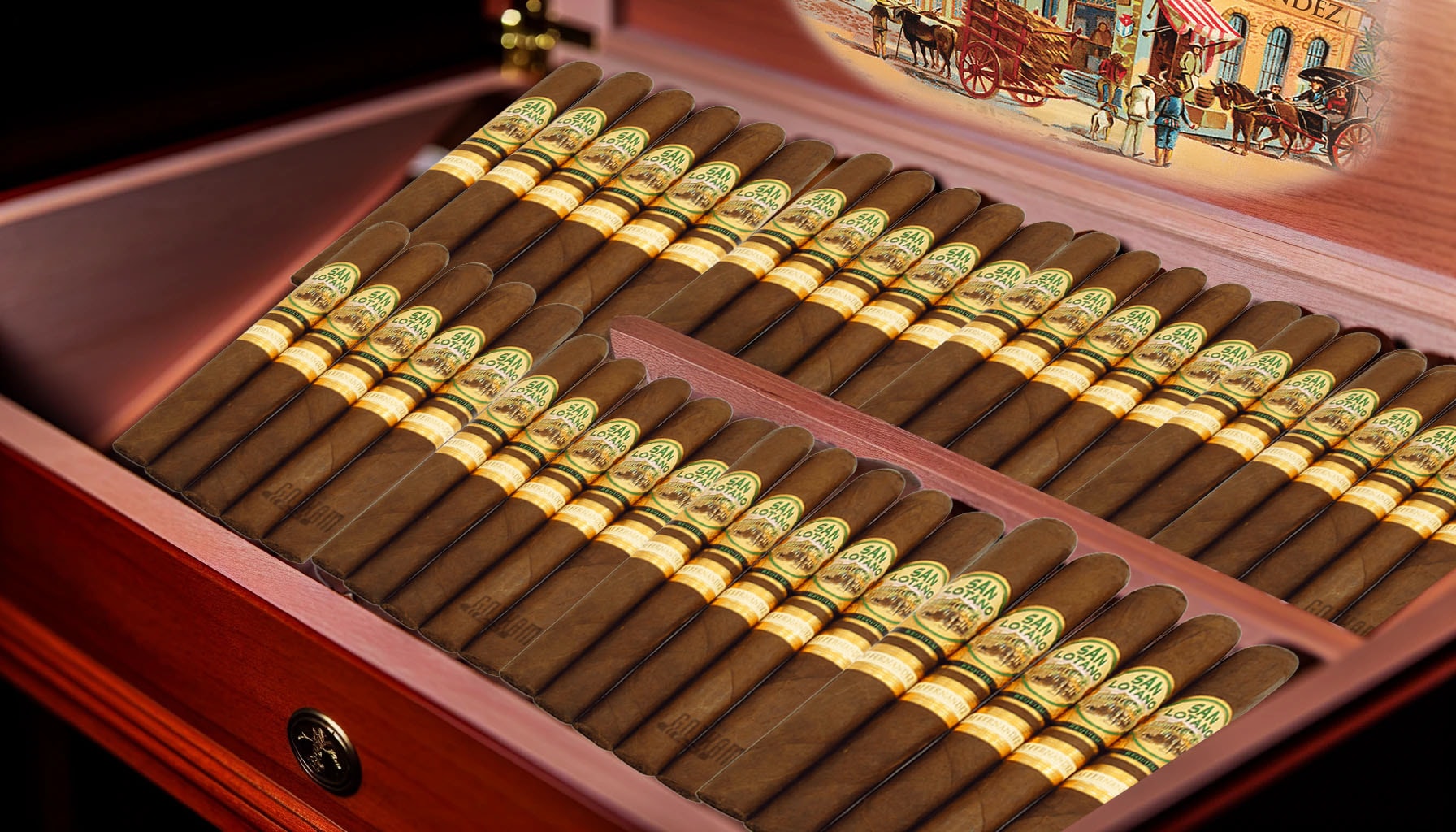 A variety of premium cigars displayed in a humidor