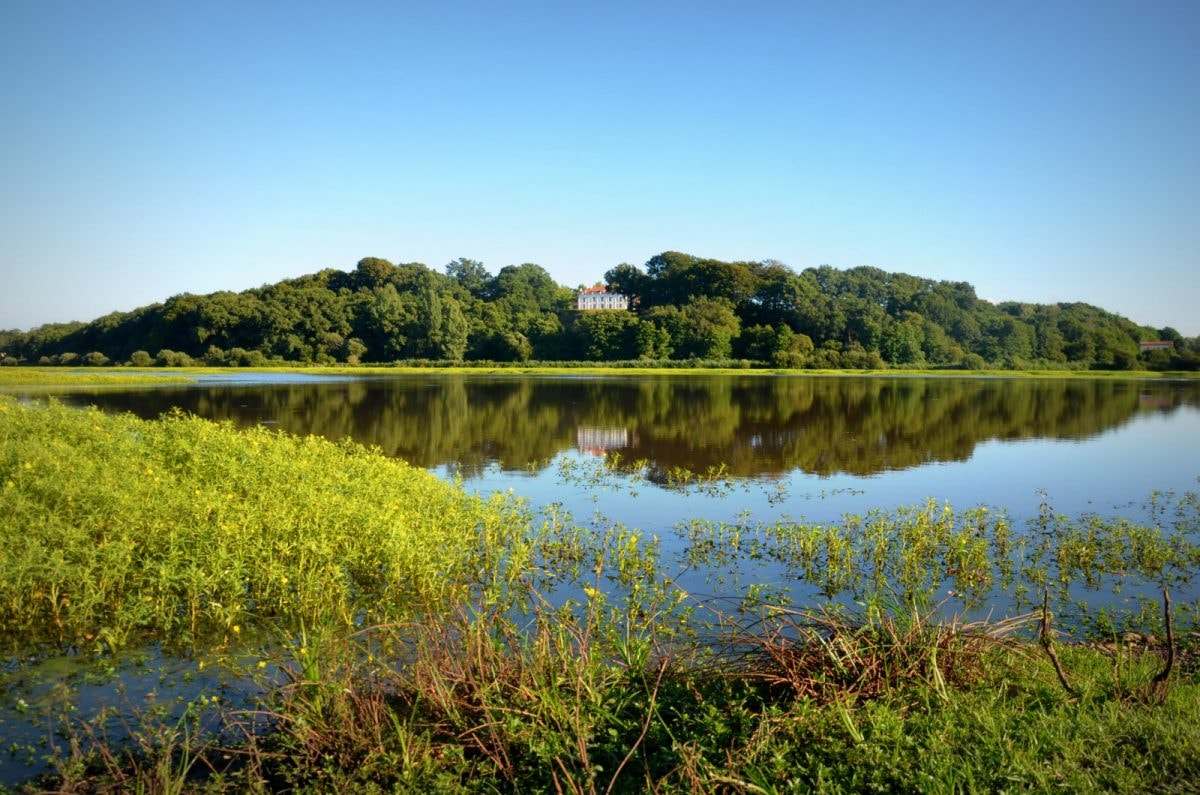 The Marais d'Orx as a great place to hike near Hossegor