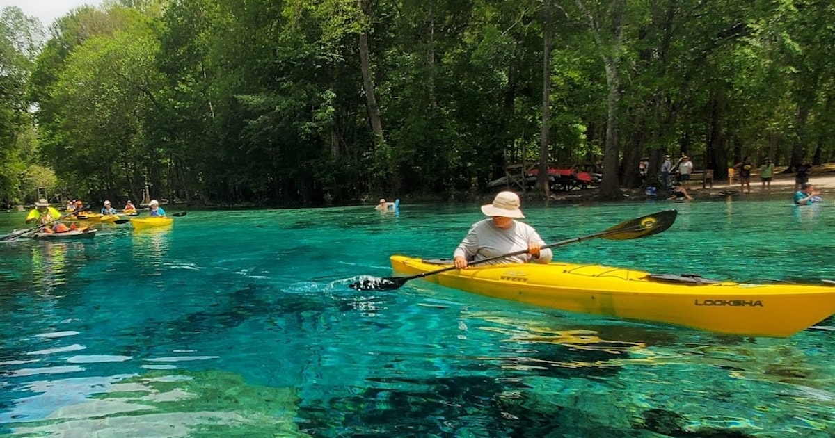 Best Times to Kayak with Manatees