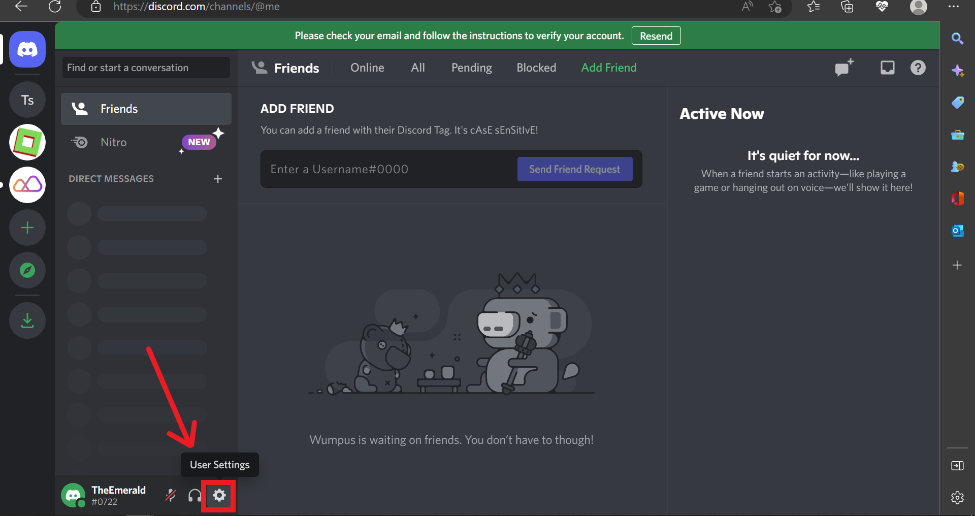 Reporting User – Discord