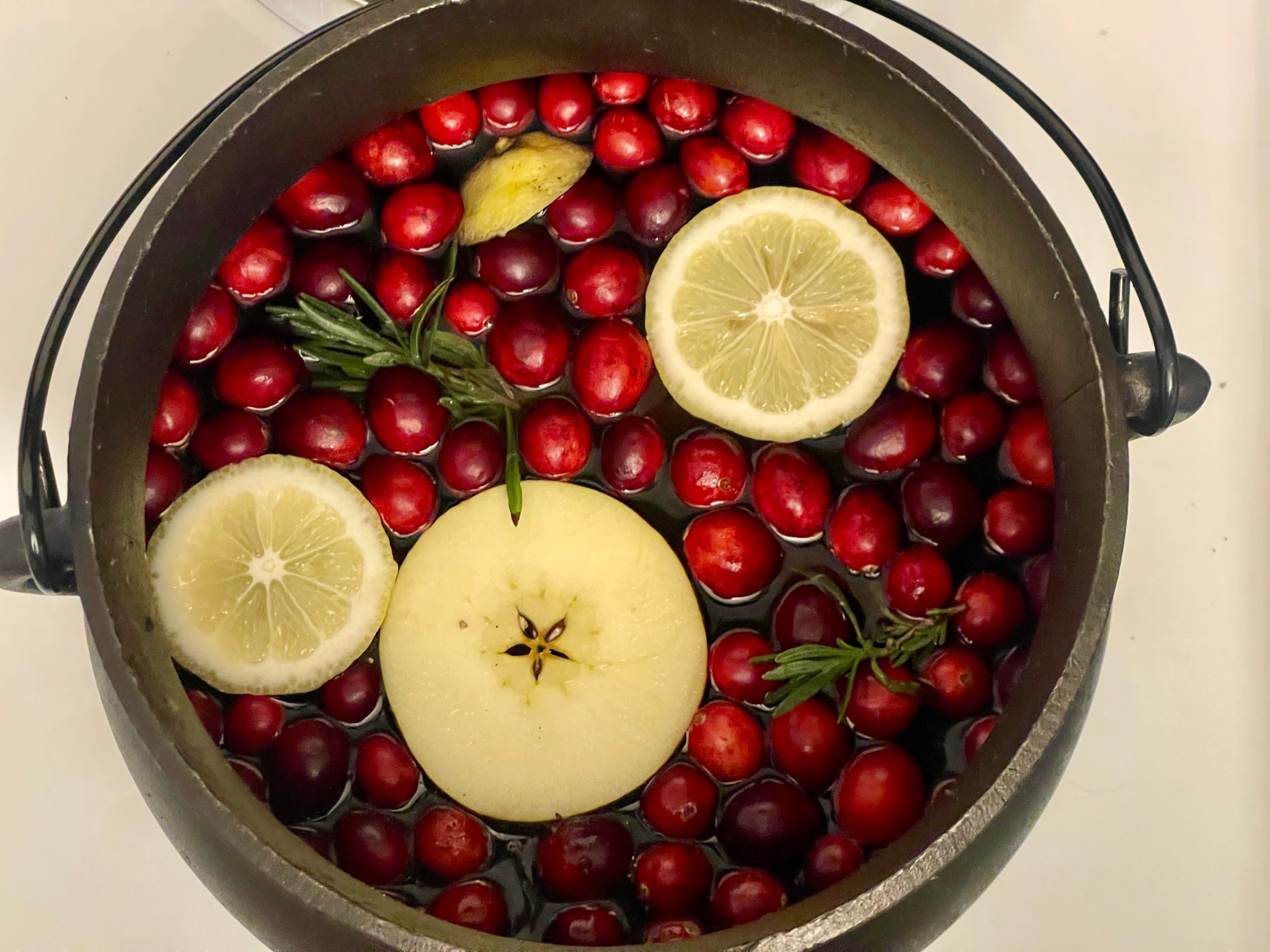 winter simmer pot