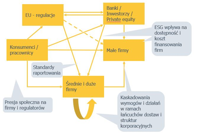 Ślad węglowy dotyczy całego globu, od prywatnych osób po kontynenty Mechanizm wpływu ESG na firmy