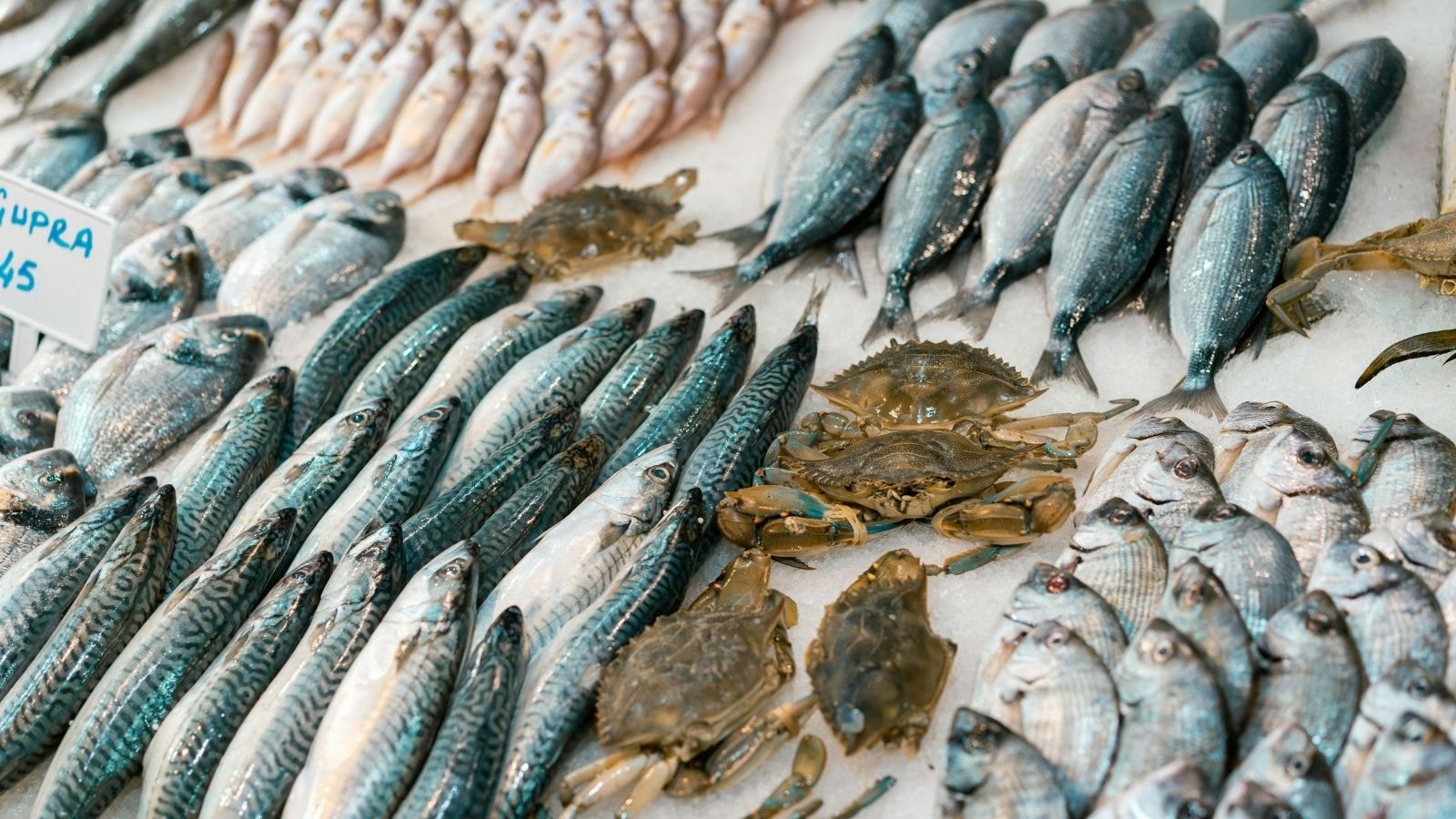 Variety of fresh fish and seafood displayed on ice at a market
