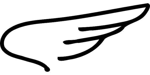 Erfahren Sie, wie Sie Ihre Paidwings AG Mitgliedschaft einfach kündigen können. Folgen Sie unserer Schritt-für-Schritt-Anleitung!