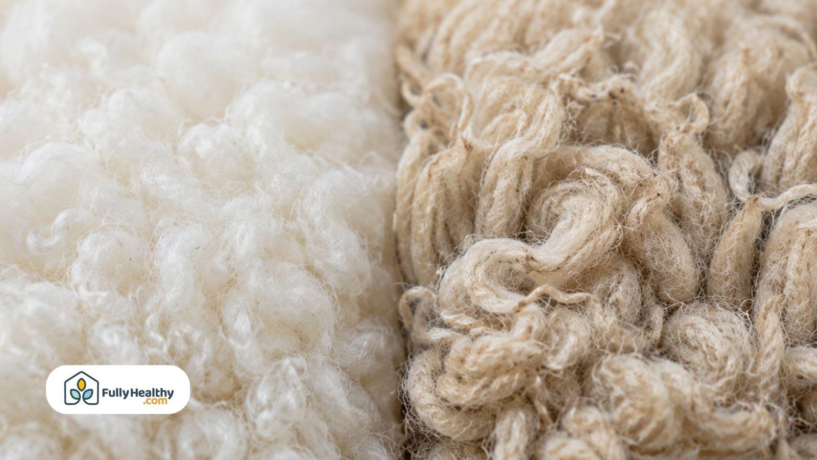 Extreme close-up comparison of lamb wool and adult sheep wool.