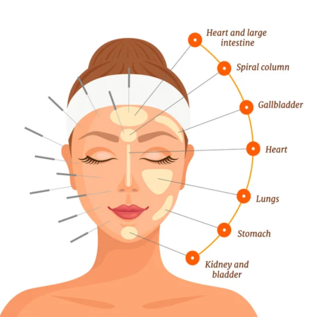 Face Mapping In Traditional Chinese Medicine