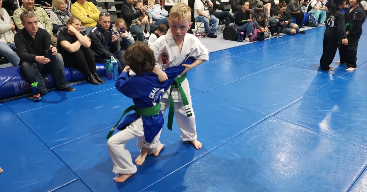 muay thai, brazilian jiu-jitsu, karate, taekwondo--any style of self defence will be so much fun to participate in