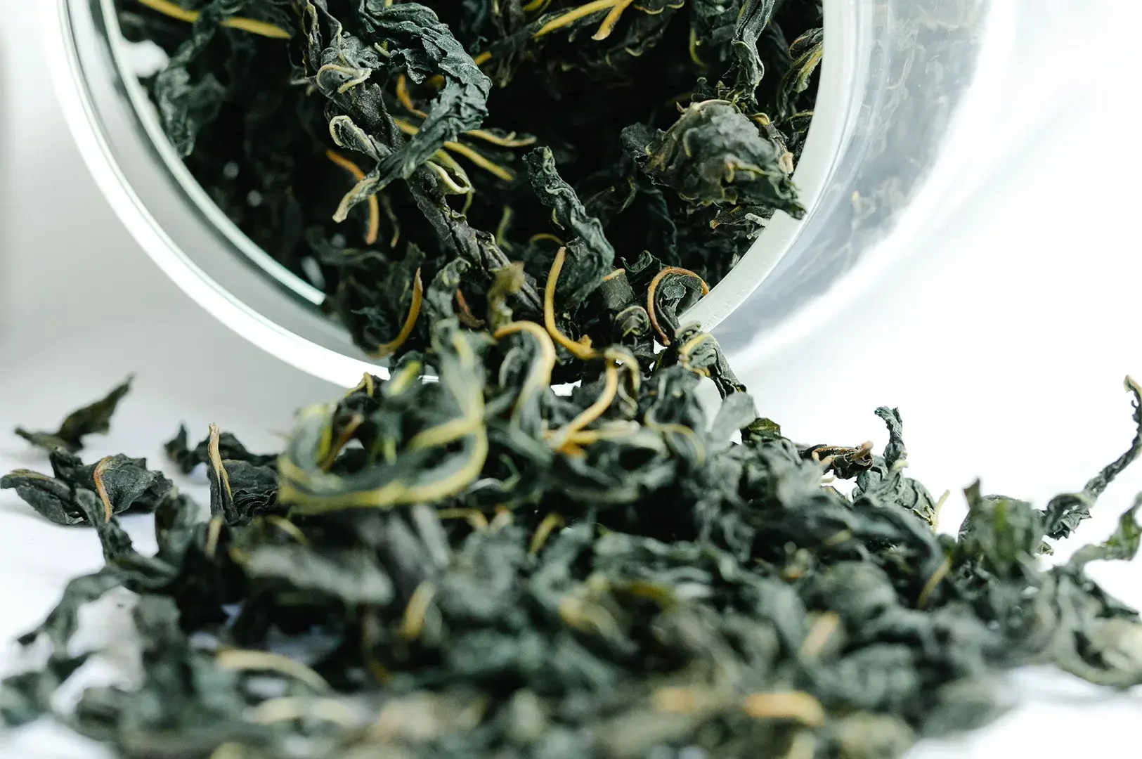 This macro shot shows a glass jar tipped onto its side, with dry, dark, tightly rolled Tie Guan Yin tea leaves spilling out onto a clean white surface. The leaves display their characteristic deep green and brownish hues, with lighter stems visible, emphasizing the quality and raw texture of the premium Oolong tea.