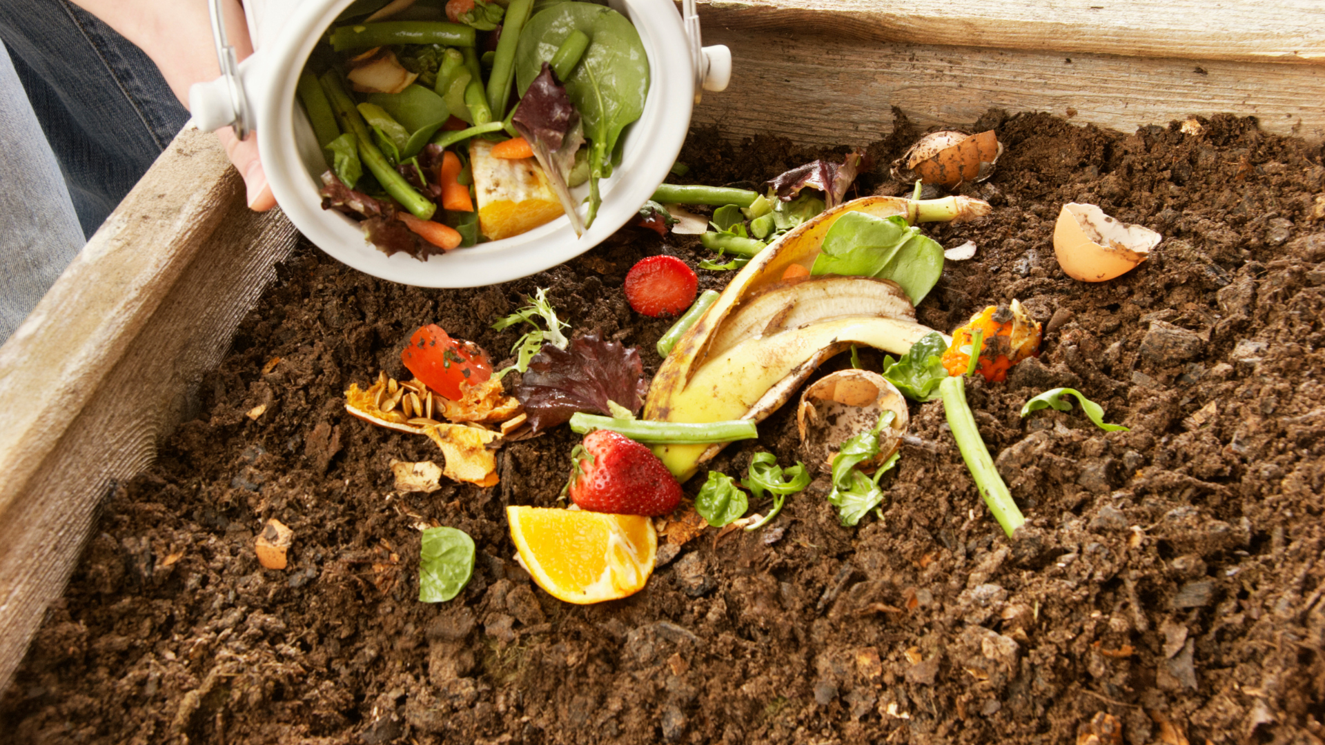 Plant materials like rotting fruit are added to the compost bin. Decomposing organisms help restore the soil's structure.