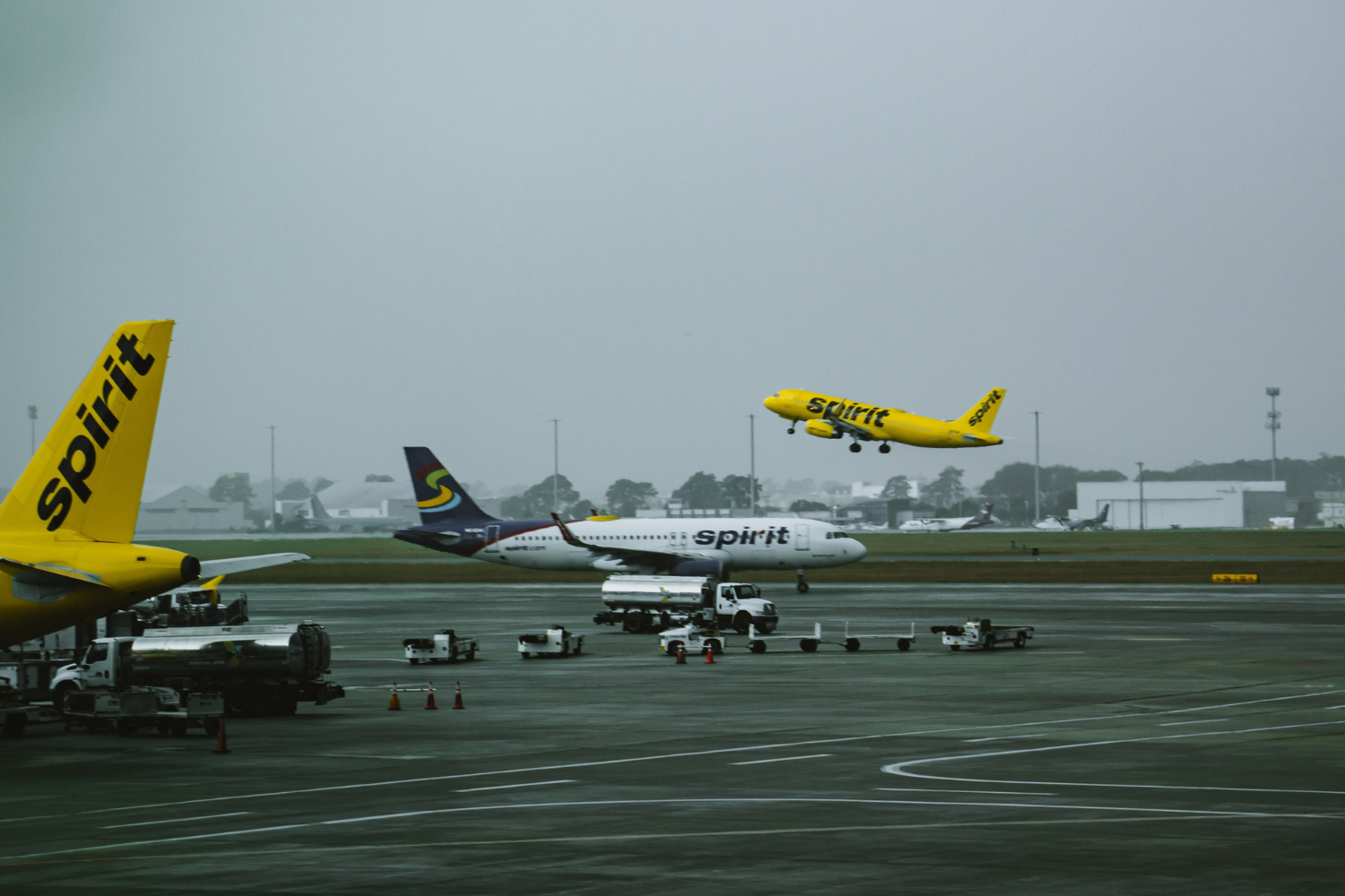 spirit airlines flights at the airport