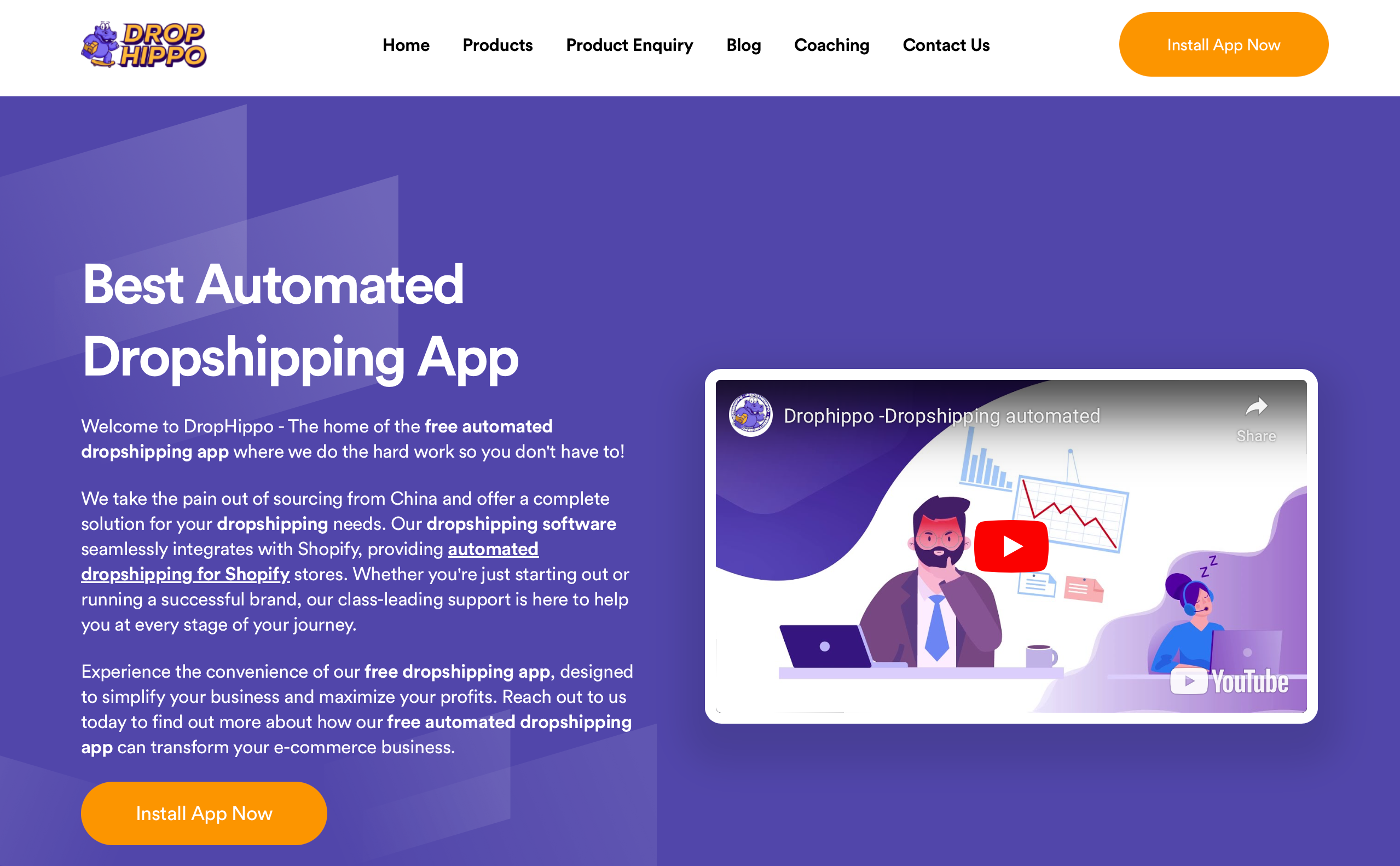 dropshipping agent - DropHippo