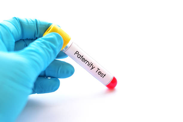 family law paternity testing