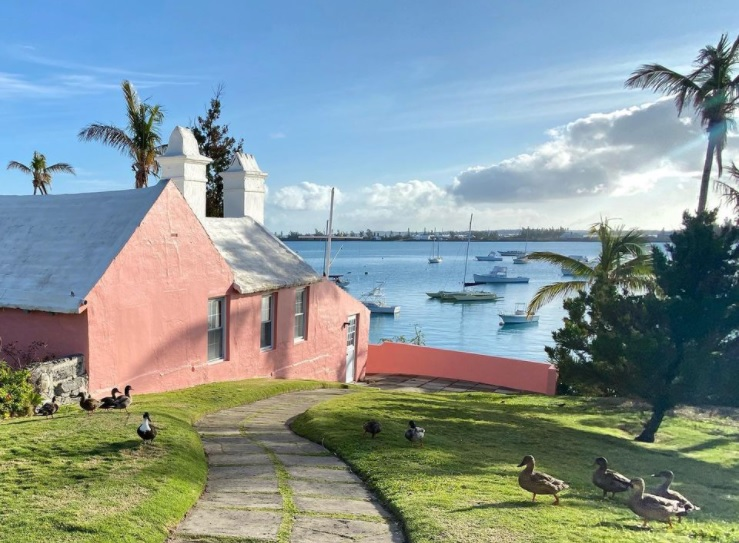 pink house overlooking the marina with ducks in the garden