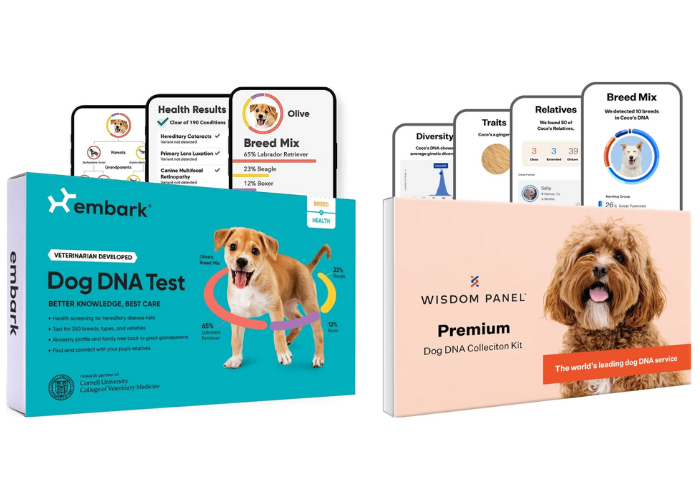 A comparison chart of the features of Embark, Wisdom Panel, and other notable dog DNA tests