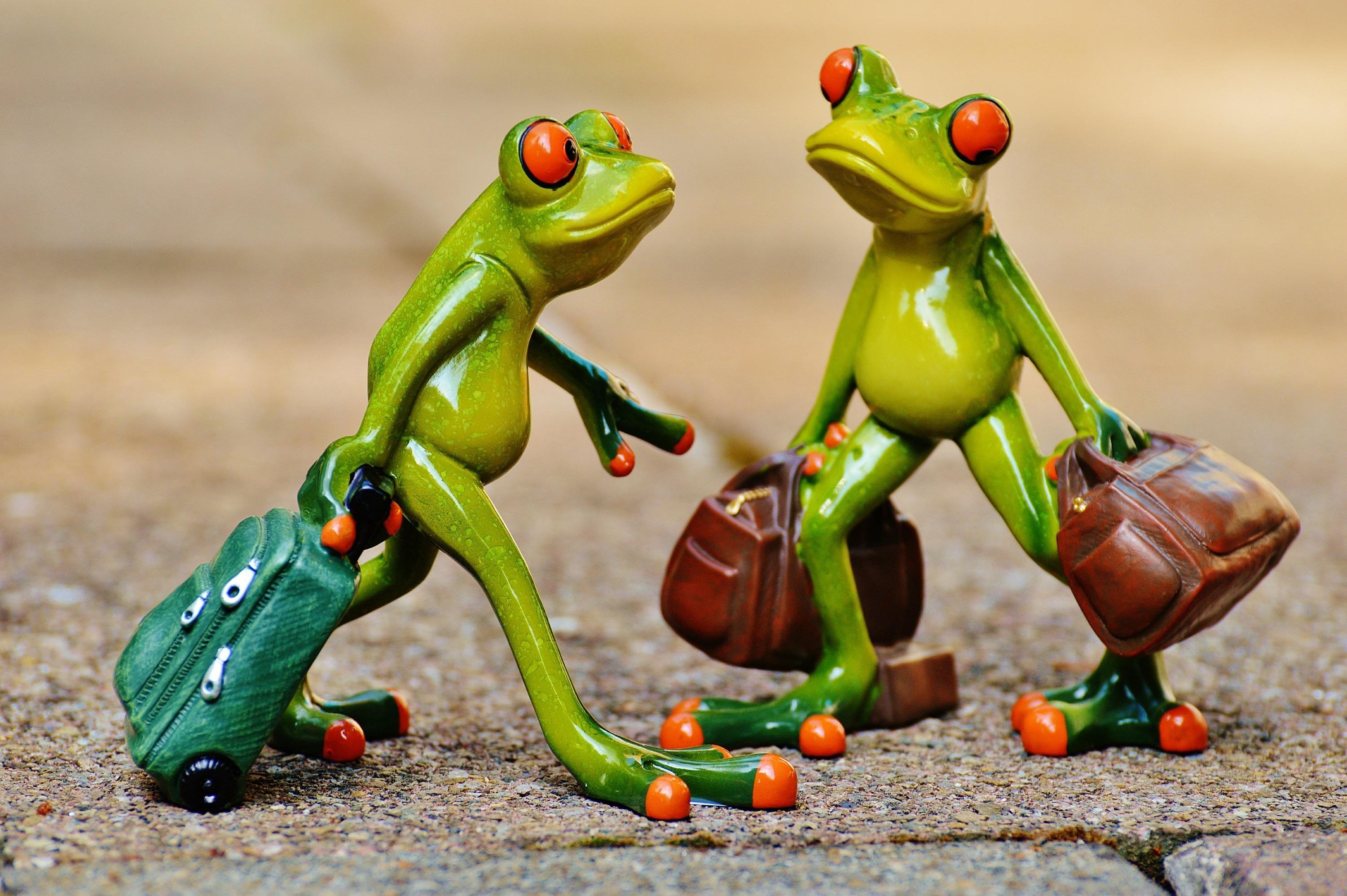 Two frogs carrying suitcases and discussing carry-on luggage sizes