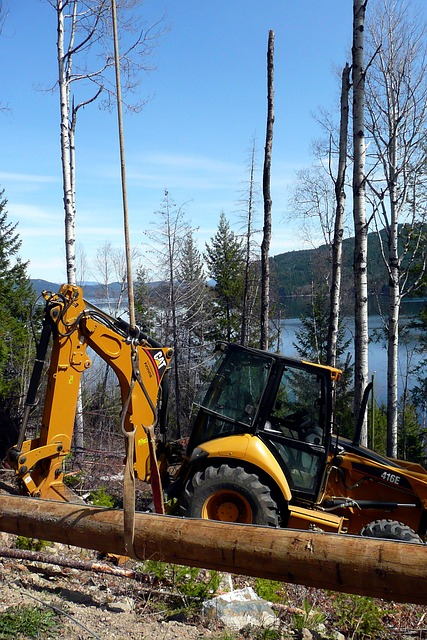 A backhoe clearing land on a mountainside.