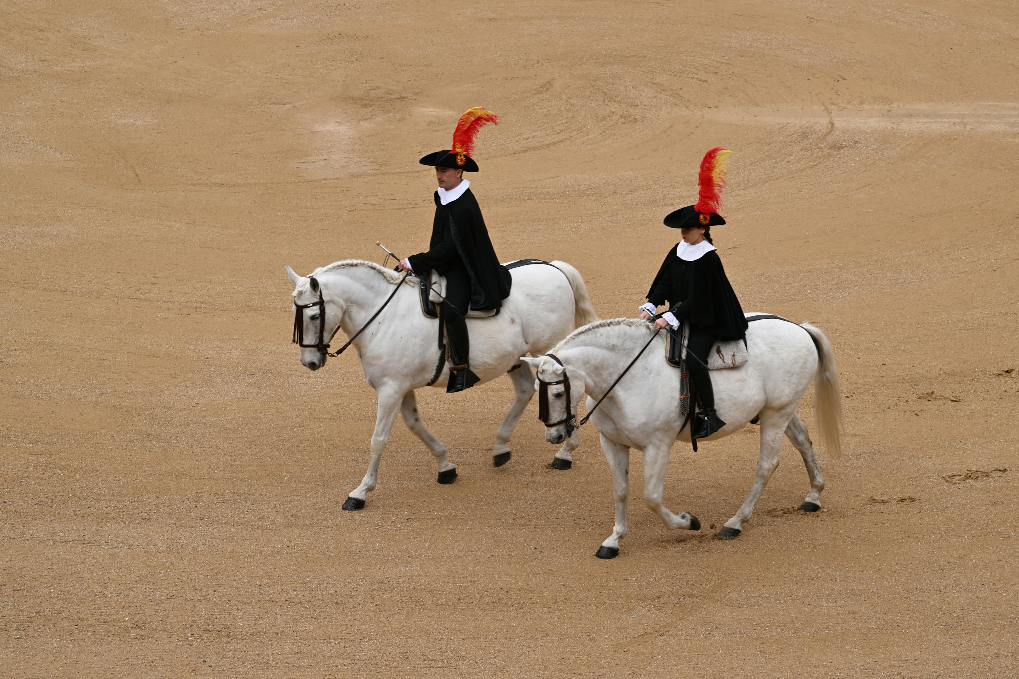 Spanish culture and horses.