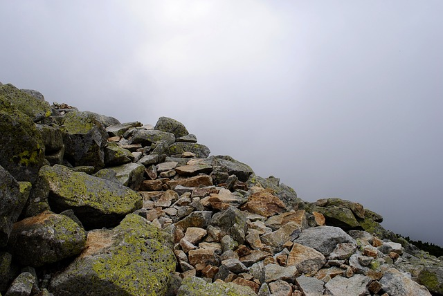 there are many 4x4 only trailheads along the colorado trail 