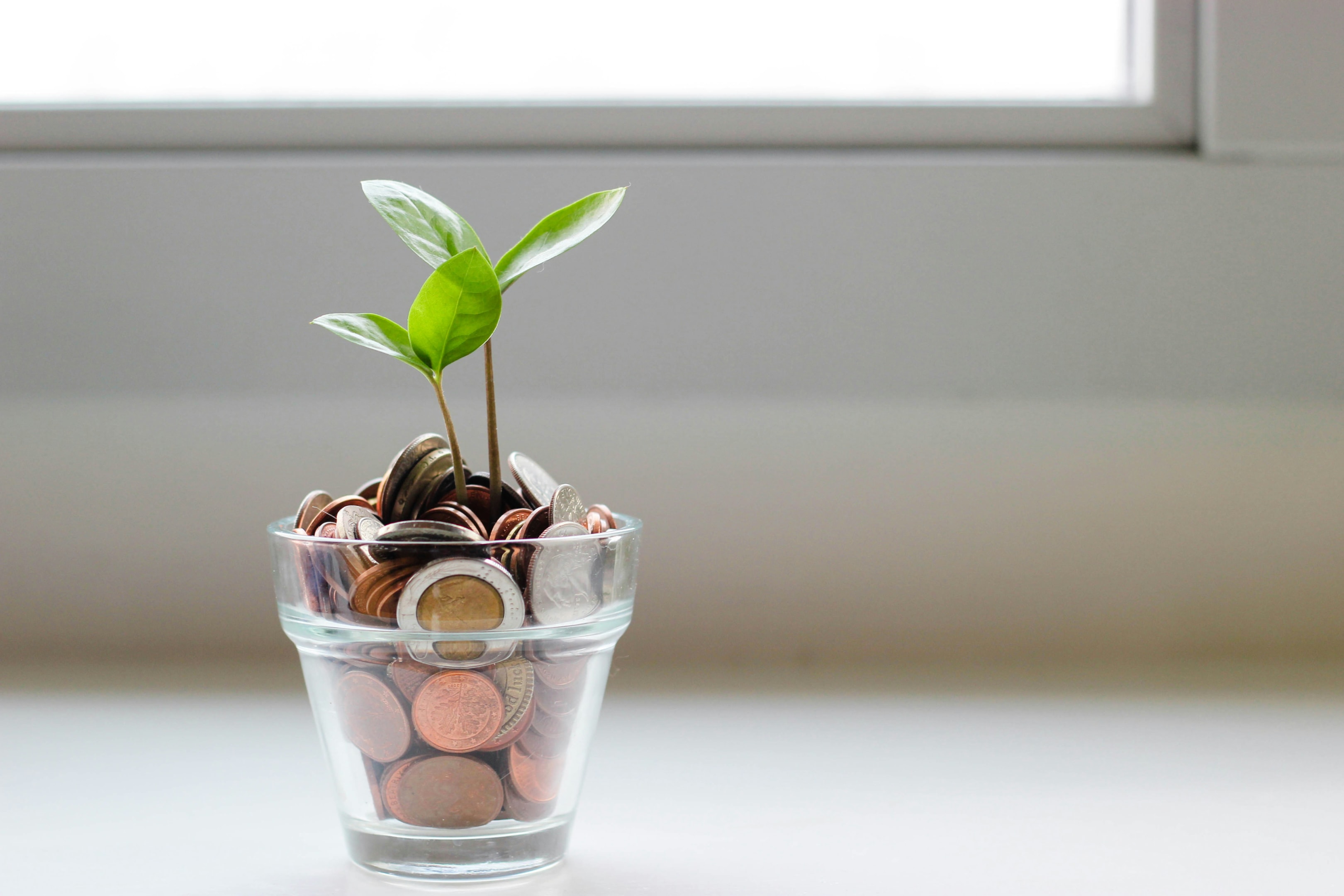 Clear pot full of coins with small plant growing out of it representing financing for real estate.
