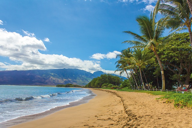 beach, landscape, hawaii