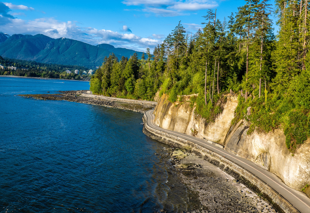 A view of Stanley Park. 