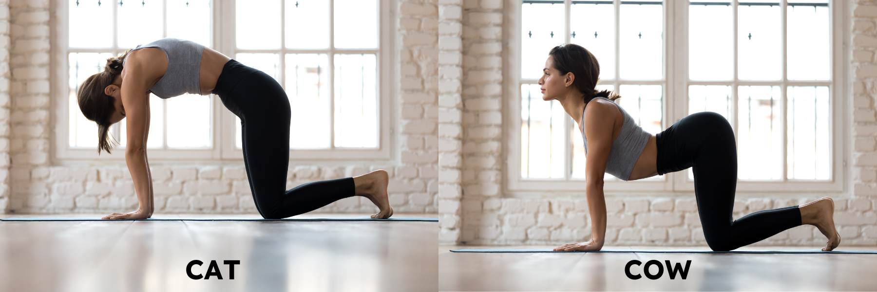 two images of a woman doing the cat cow stretch