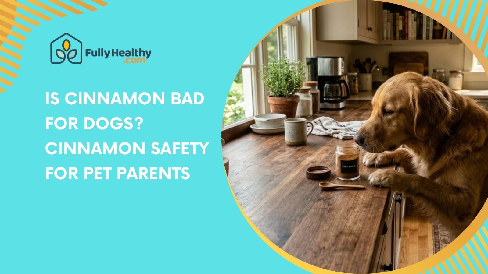 Is Cinnamon Bad for Dogs? Cinnamon Safety For Pet Parents