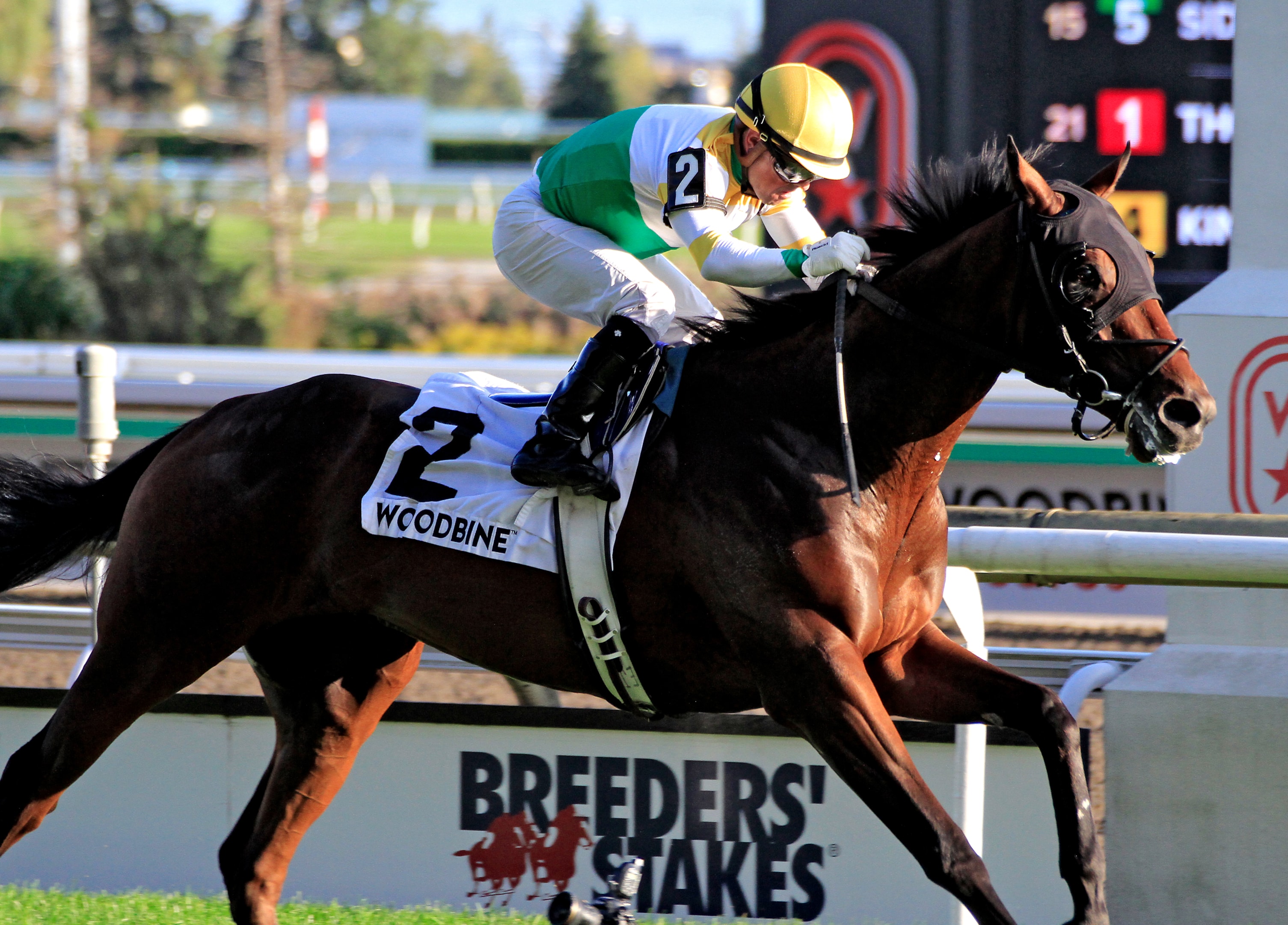 Jockey Justin Stein rides Roscar to a win in the 134th running of the $400,000 Breeders' Stakes, the third race of the OLG Canadian Triple Crown at Woodbine Racetrack in Toronto, Canada, on September 29, 2024.