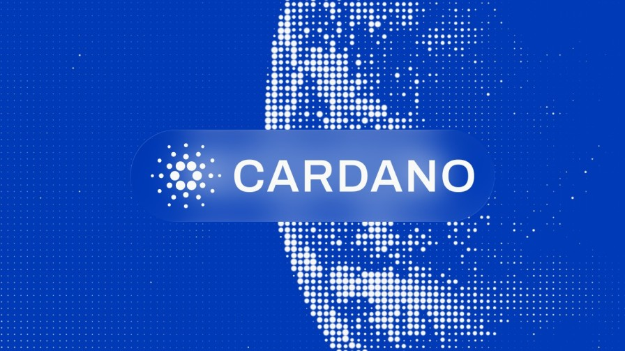 An image showcasing the Cardano logo with blue and white background. 