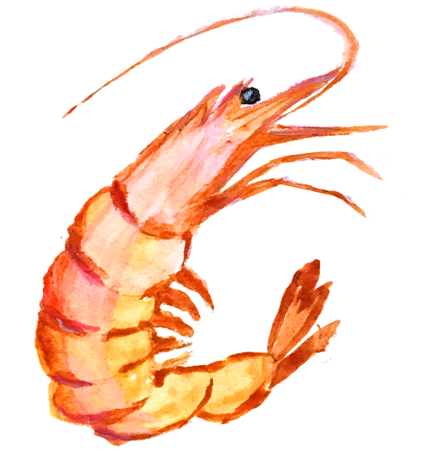 shrimp jokes