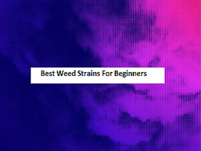 Best weed strains for beginners: Ultimate beginner's guide