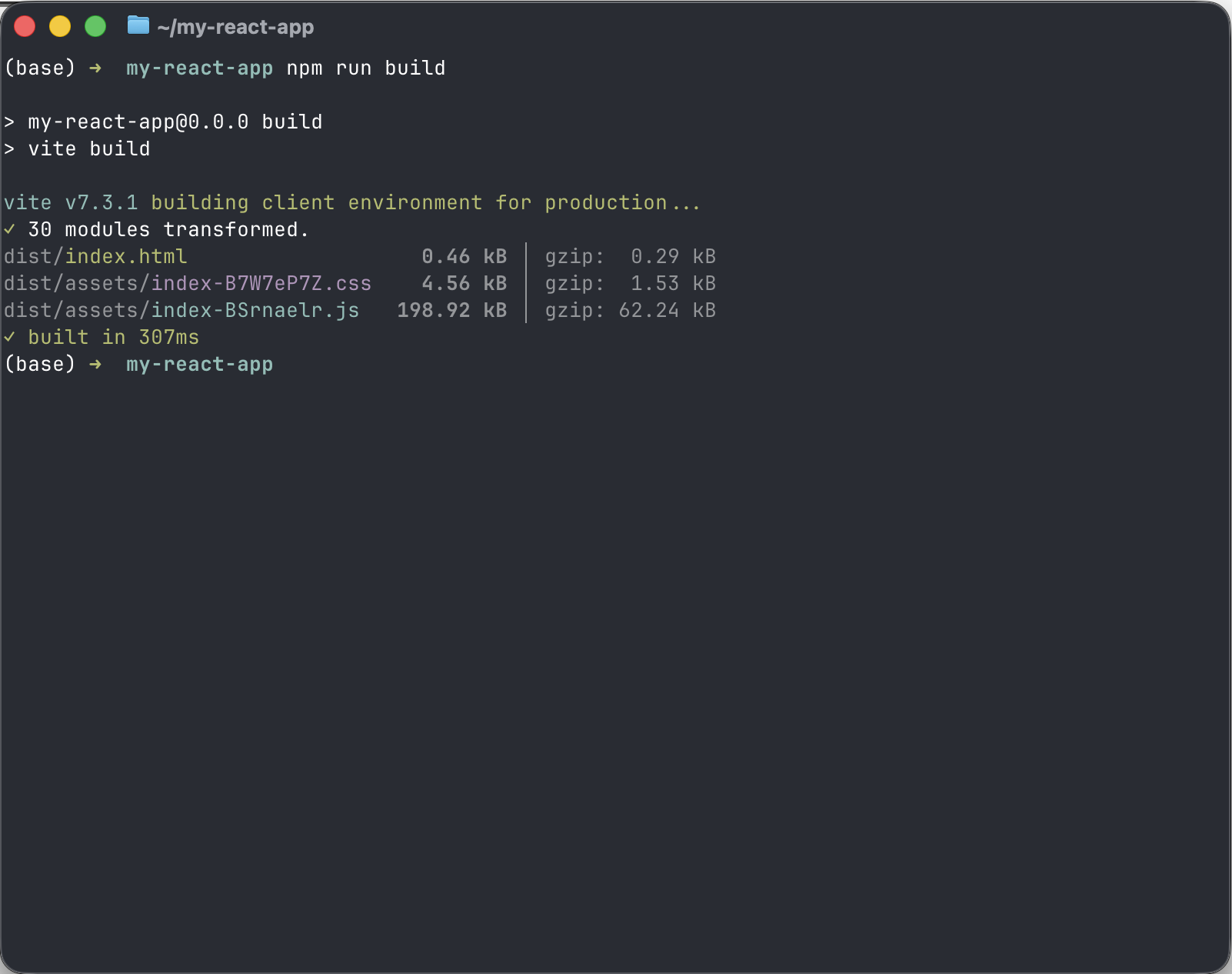 Run the 'npm run build' command