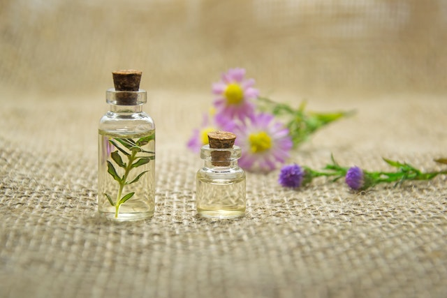 Geranium Oil: Here's Why This Essential Oil Is A Must-Have For