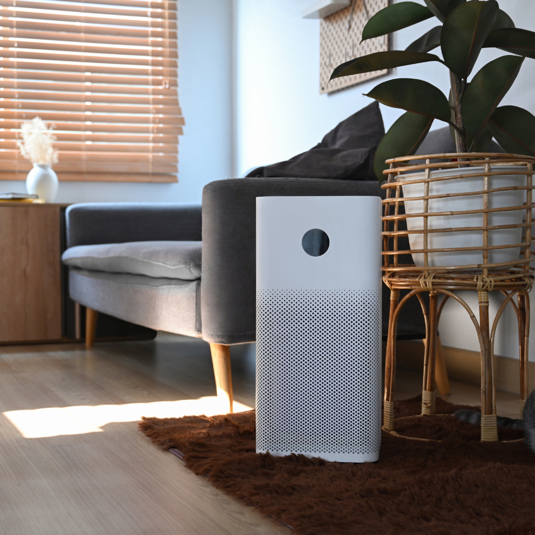 air purifier in a home
