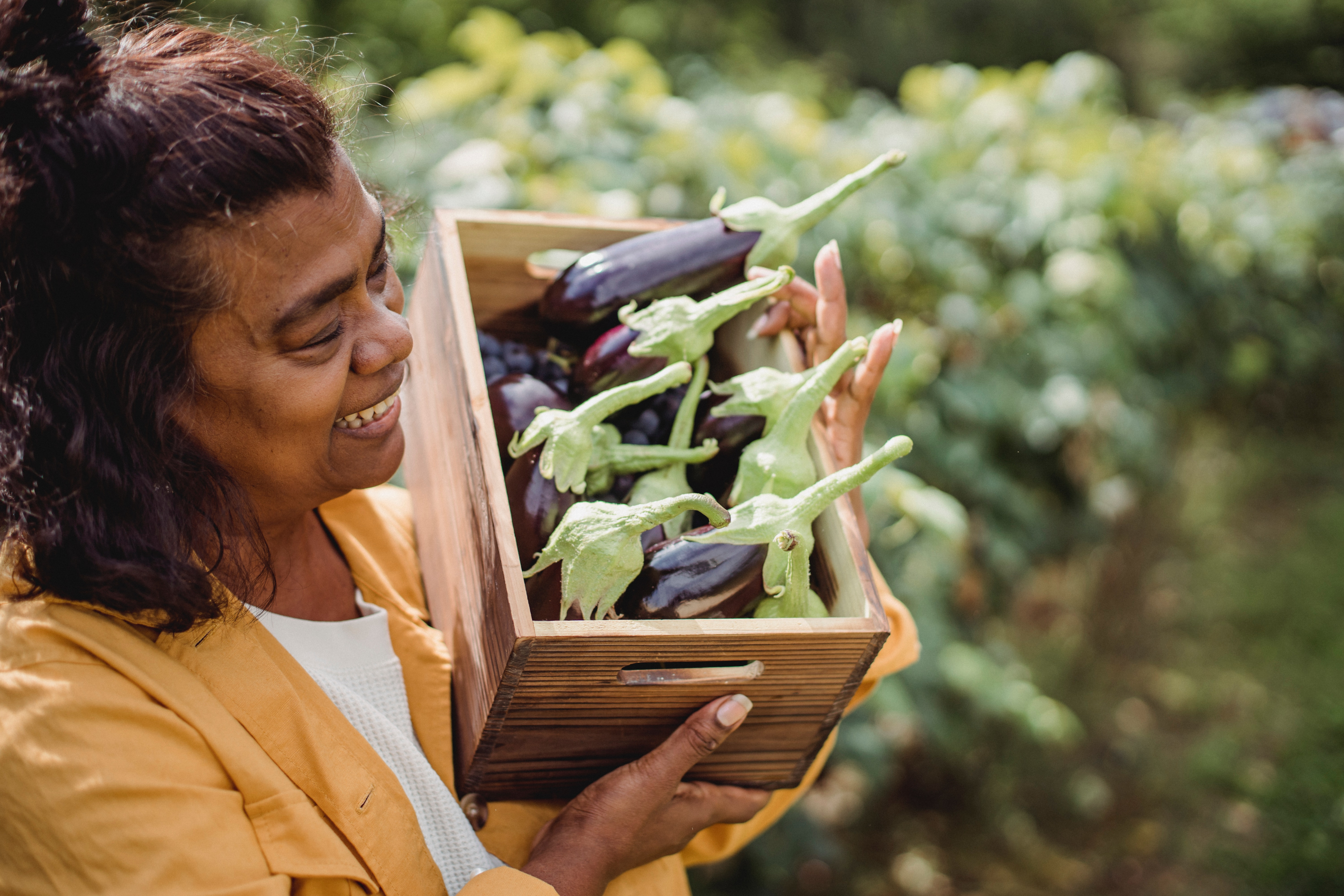 Substance Abuse Wreaks Havoc on Human Health but Working with Gardens Can Help Us Heal