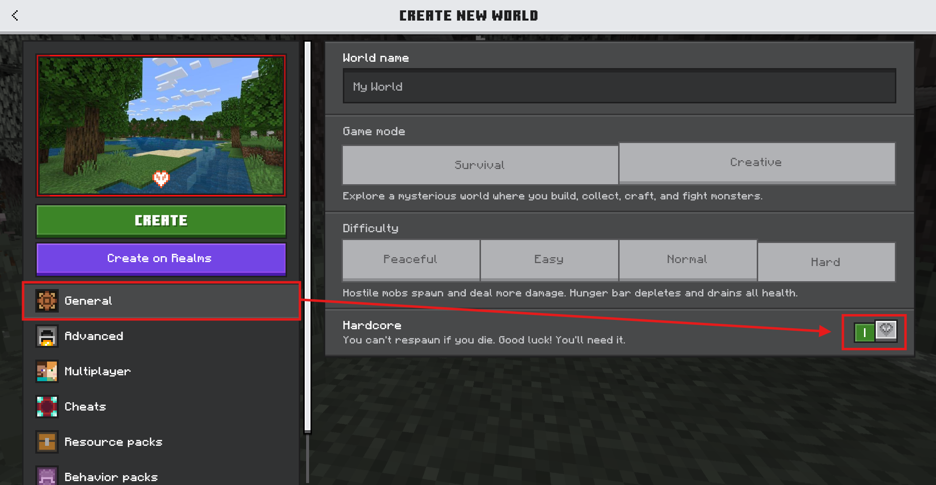 Bedrock client image