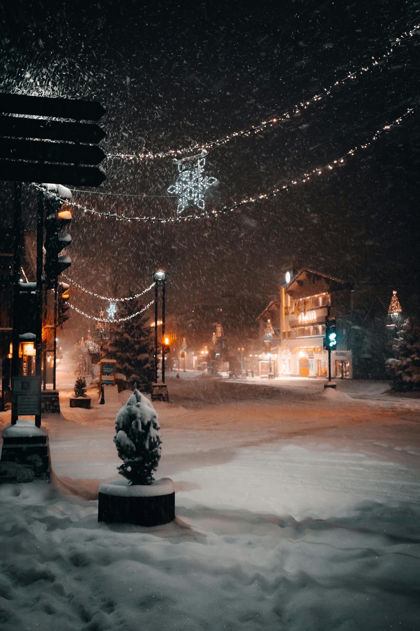 celebrate holiday lights
