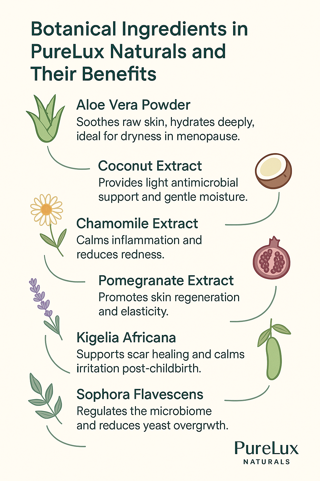 nfographic featuring botanical ingredients used in PureLux Naturals suppositories, with labels for each extract and its benefit to vaginal wellness