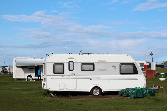 caravan, camping, campsite