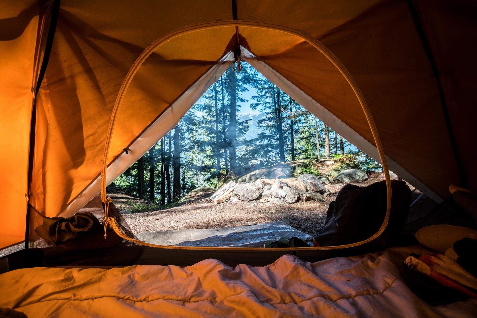 11 Tips For Camping In Bear Country - National Parks Backpacker