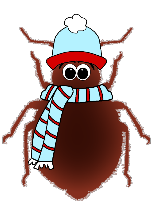 Bed Bug Freezing Unraveling the Chilling Potential
