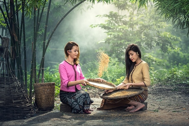 Women sieving rice