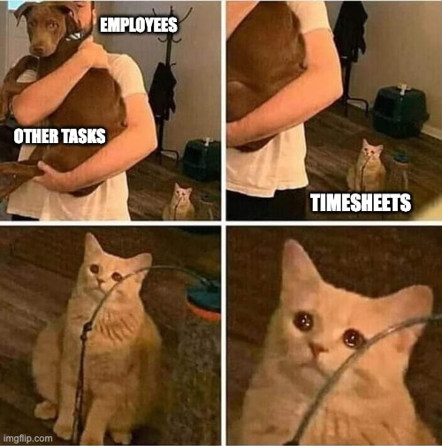 Sad cat watching owner embrace other tasks while ignoring timesheets. Funny timesheet meme about employees prioritizing any task over filling timesheets before deadlines.