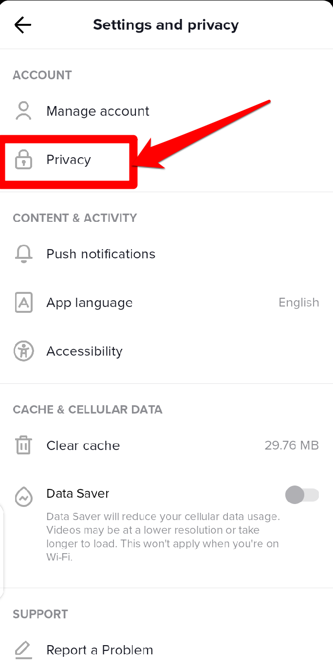 Screenshot showing the Privacy tab on TikTok
